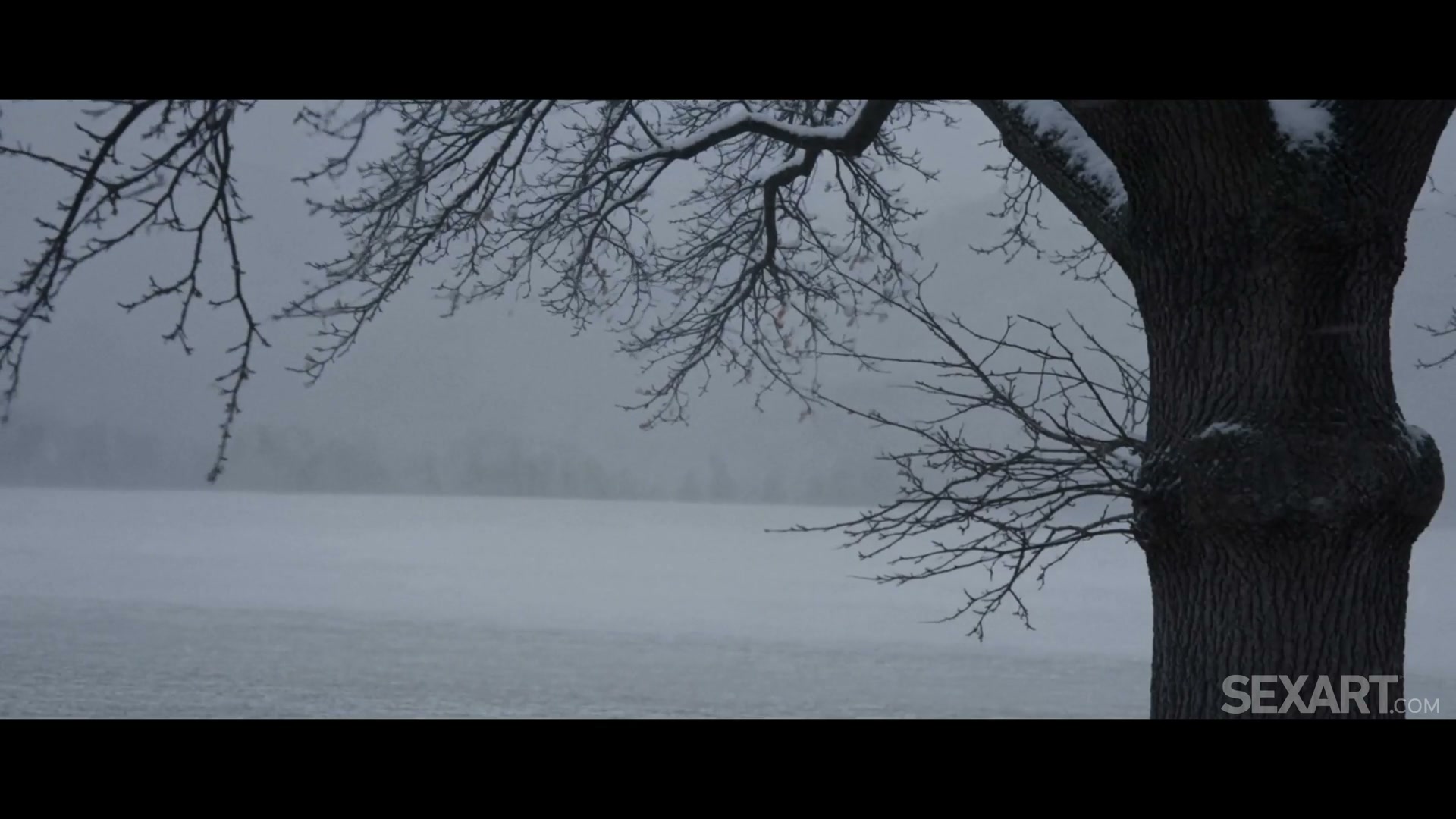 Frame 1