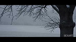 Vixi Rafi & Sally Hunter – Four Seasons