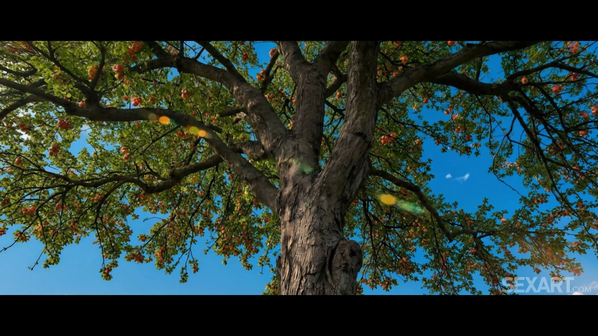 Frame 2