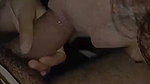 Blowjob by stepbrother Stepsister