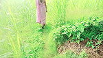 desi bhabhi urineing in the field before fucking