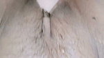 fuck machine hard sex video hindi girl