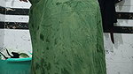 Priya Bhabi Big Pusssy Hair Show