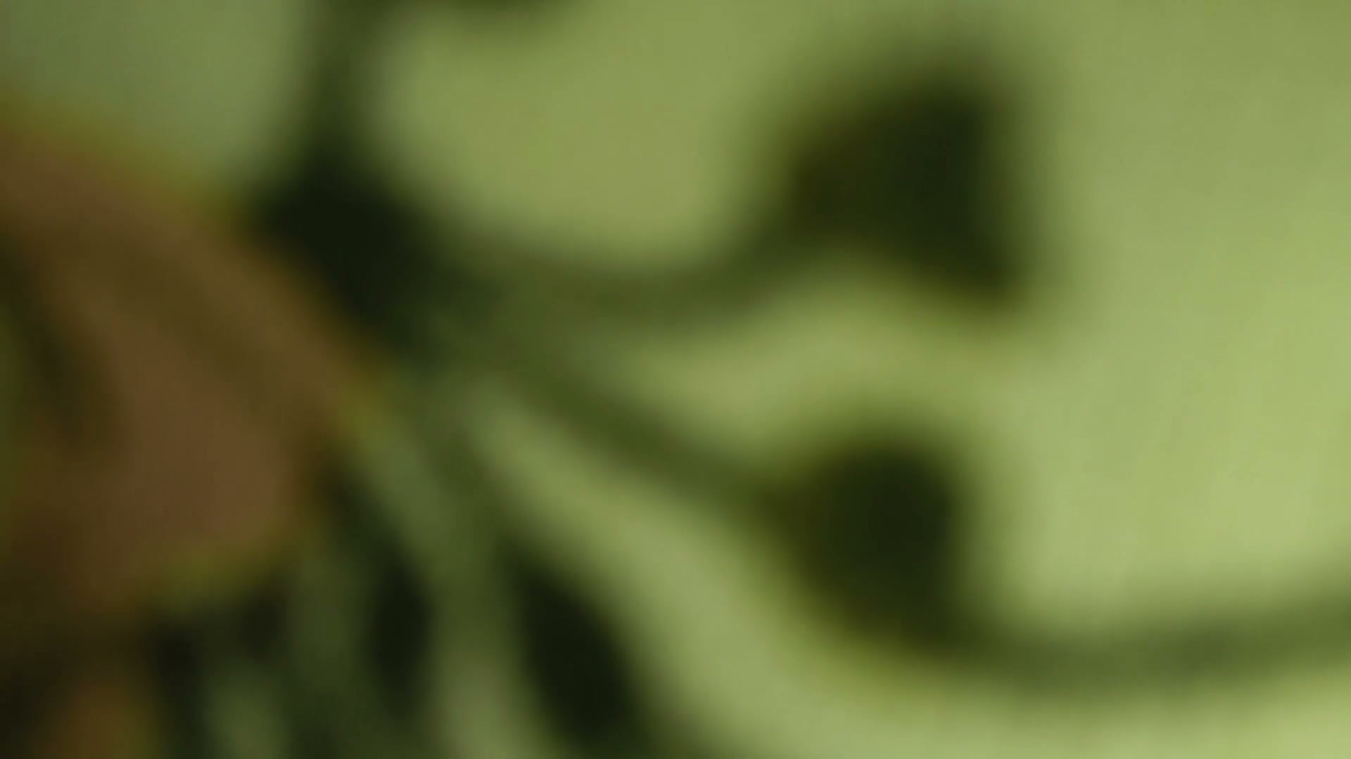 Frame 3