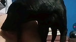 Sapna