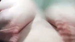 BEAUTIFUL VILLAGE BHABHI SHOWING ROUND BOOBS & SHAVED CLEAN PUSSY 2 2