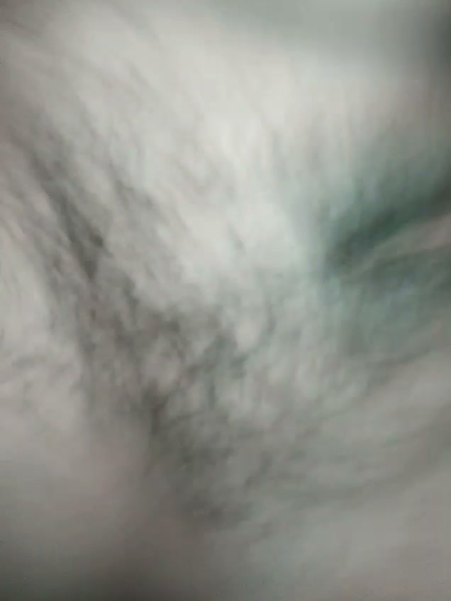 Frame 8