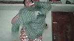 Godf 8 1