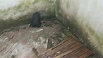 WE GO TO AN ABANDONED HOUSE TO FUCK WITHOUT ANYBODY SEEING US