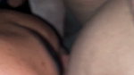 Wife Licked the Burrow