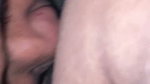 Wife Licked the Burrow