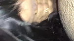 Sexy Desi Bahbhi Give  Blowjob