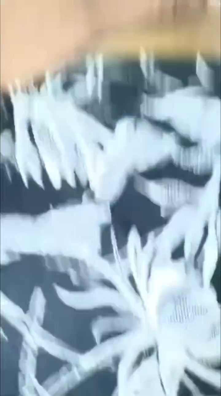 Frame 1