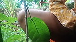 Cute Indian College Camgirl Gets Fully Nude