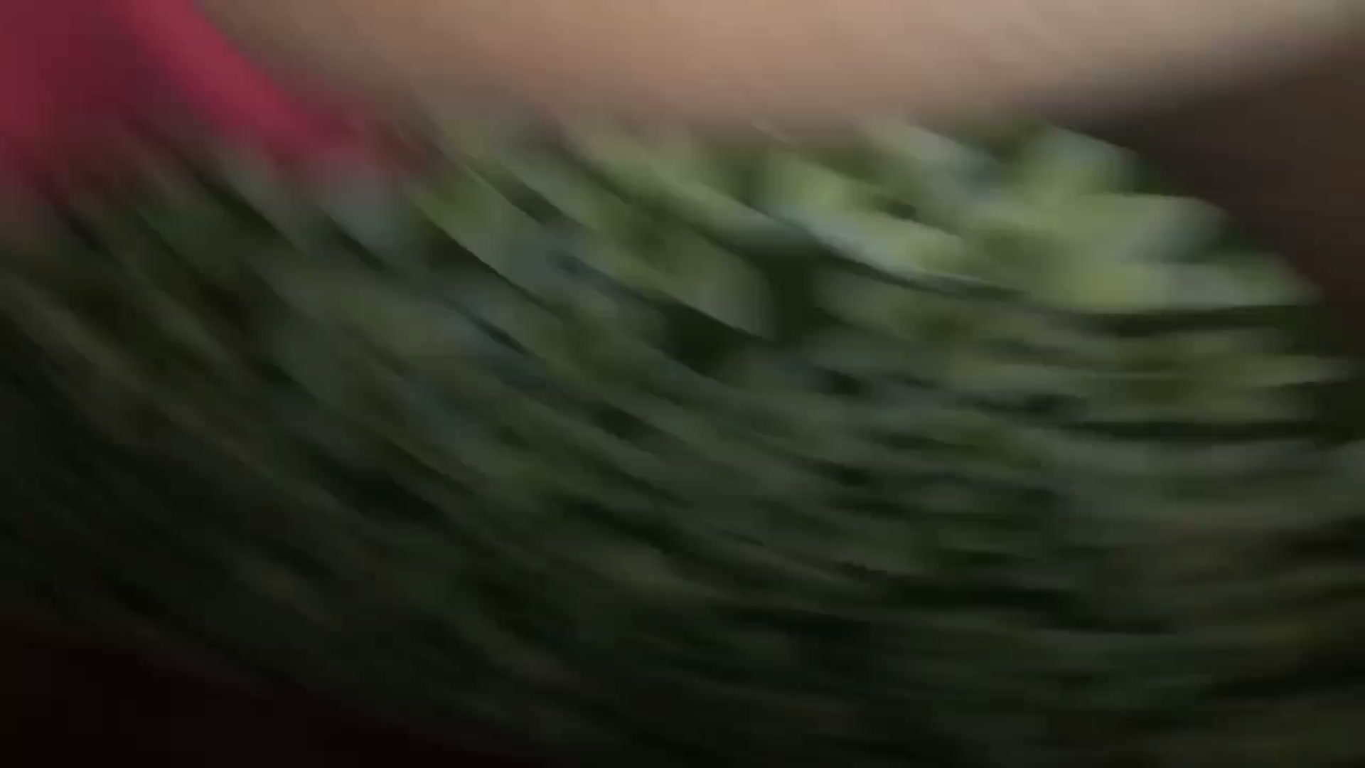 Frame 1