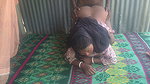 Indian devar bhabhi sex