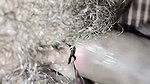 Indian woman sex video hard fucking