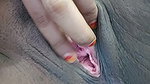 Romantic Single Video