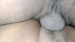 Sri Lankan Real Homemade Hard Fuck by Wet Pussy