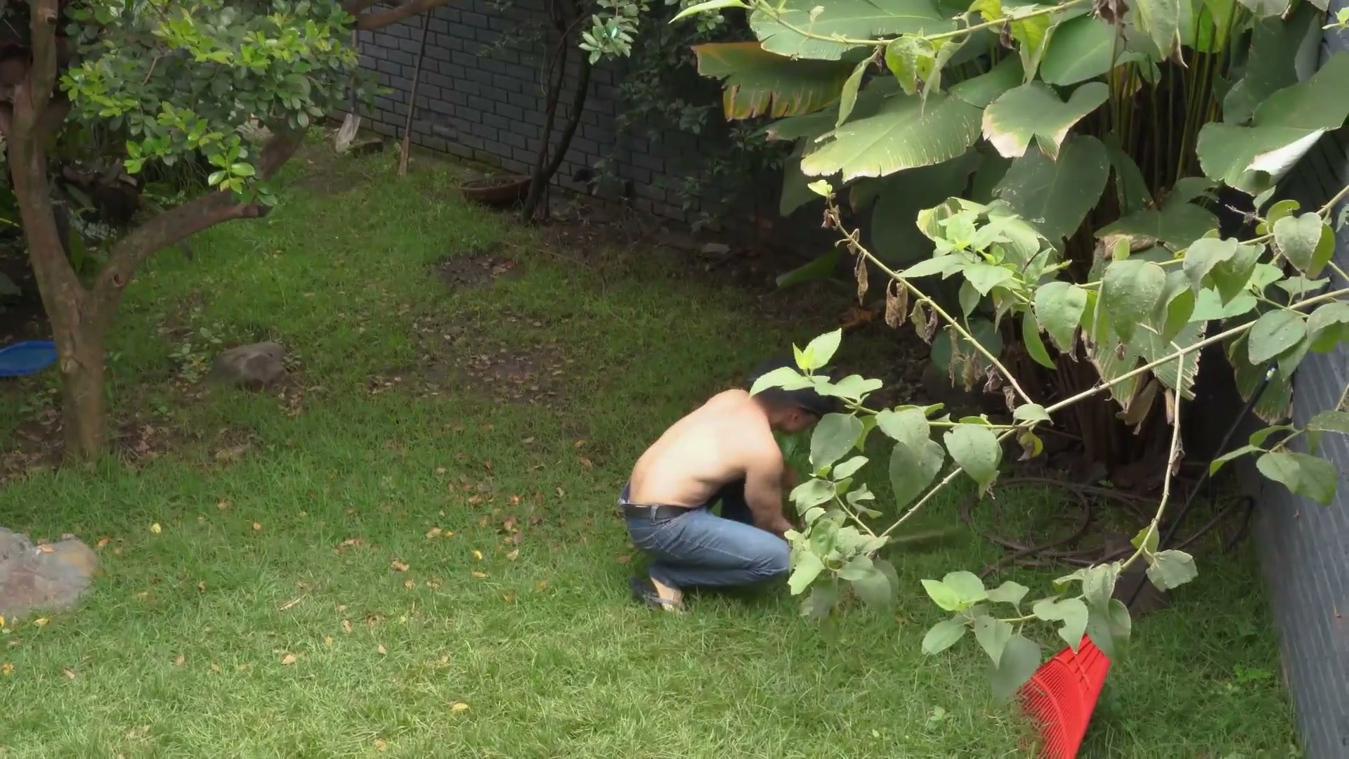 Frame 1