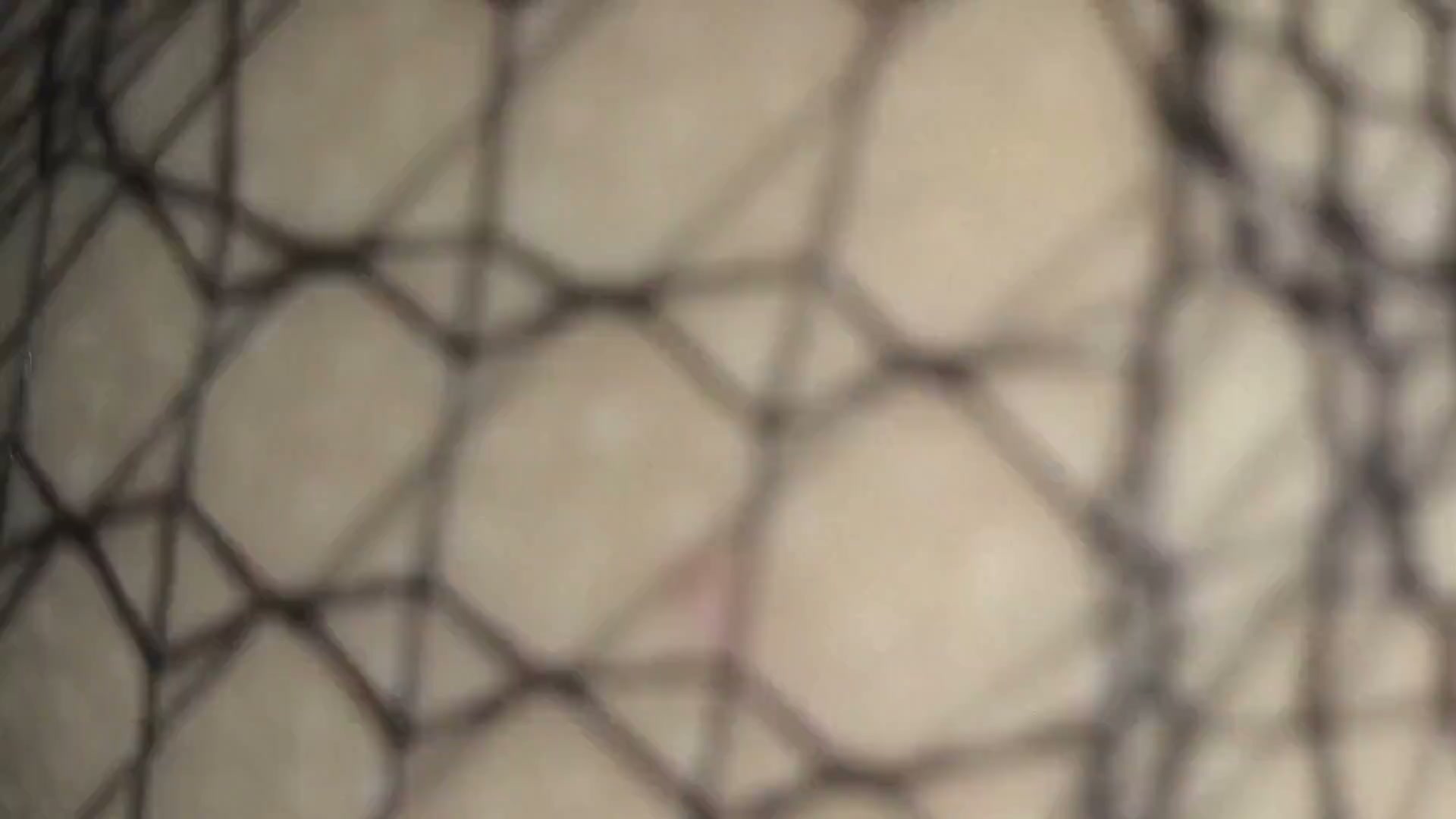 Frame 10
