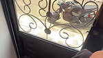 My neighbor wants me to fuck her ass in the window of her own house