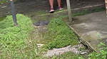 MY NEIGHBOR’S ASS SHOWS HER ASS IN THE BACKYARD