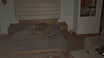 On an unexpected night stepbrother gets into his stepsister’s bed to fuck her secretly and fill her pussy with cum