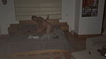 On an unexpected night stepbrother gets into his stepsister’s bed to fuck her secretly and fill her pussy with cum