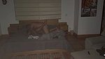 On an unexpected night stepbrother gets into his stepsister’s bed to fuck her secretly and fill her pussy with cum