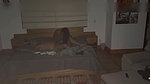 On an unexpected night stepbrother gets into his stepsister’s bed to fuck her secretly and fill her pussy with cum