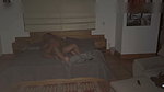 On an unexpected night stepbrother gets into his stepsister’s bed to fuck her secretly and fill her pussy with cum