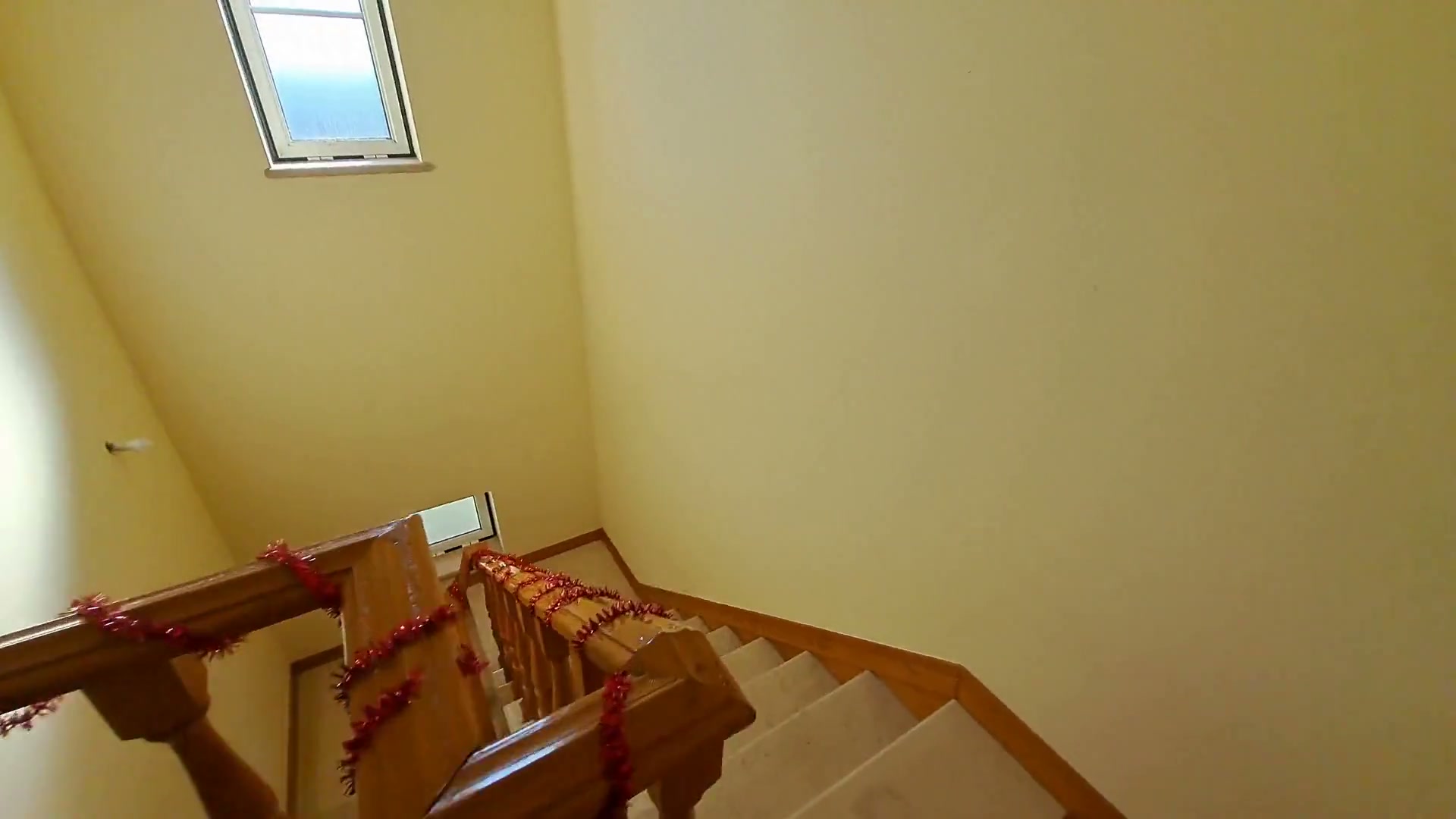 Frame 2