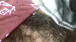 BEAUTIFUL CUTE FACE GF SHOWING BIG ROUND BOOBIES & HAIRY PUSSY FULL COLLECTION 3