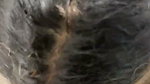 BigAss Horny Tamil Gf Blowjob And Hard Doggy Fucking 22