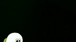 Video call service by tg kobir  – 104