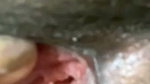 Video call service by tg kobir  – 667