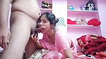 Desi bhabhi pink saree beautiful bhabhi sucking my Desi cock in my room.
