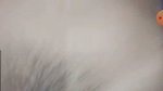 Video call Service by Tg KOBIR – 2135