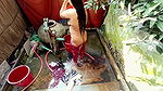 Beautiful Desi village girl bathing in the open