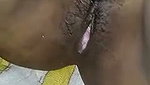 Desi bhabhi