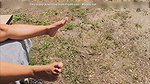 Complete Movie Fantasy in Nature with Garabas and Olpr