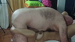 HOTTEST 69 WITH ADAMANDEVE AND LUPO