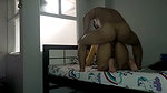 Latino with big cock fucks Arab woman