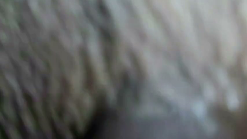 Frame 4