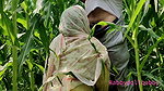 Kheton me Behan ke Chudae