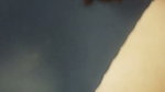Sali Vena ko xada guff Vena huda hudai kina boyfriend rakhne gare mero sali le vneko ( Sali ko farting pussy)