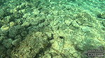 Brille – Underwater Naked Swimming In The Sea While On Vacation With Brille