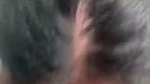 Beautiful Paki Babe Giving Blowjob 2