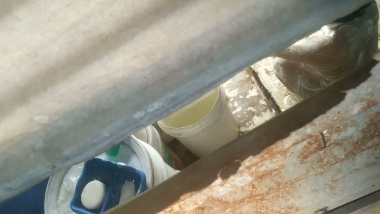 Frame 1